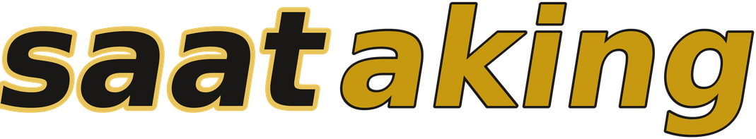 saataking logo